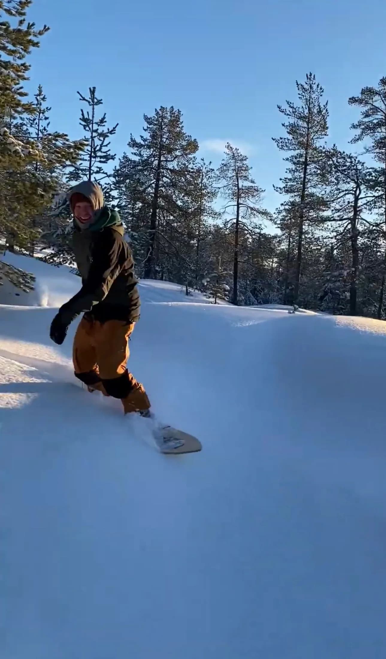 A snow surfer riding down a soft snowy slope between pine trees