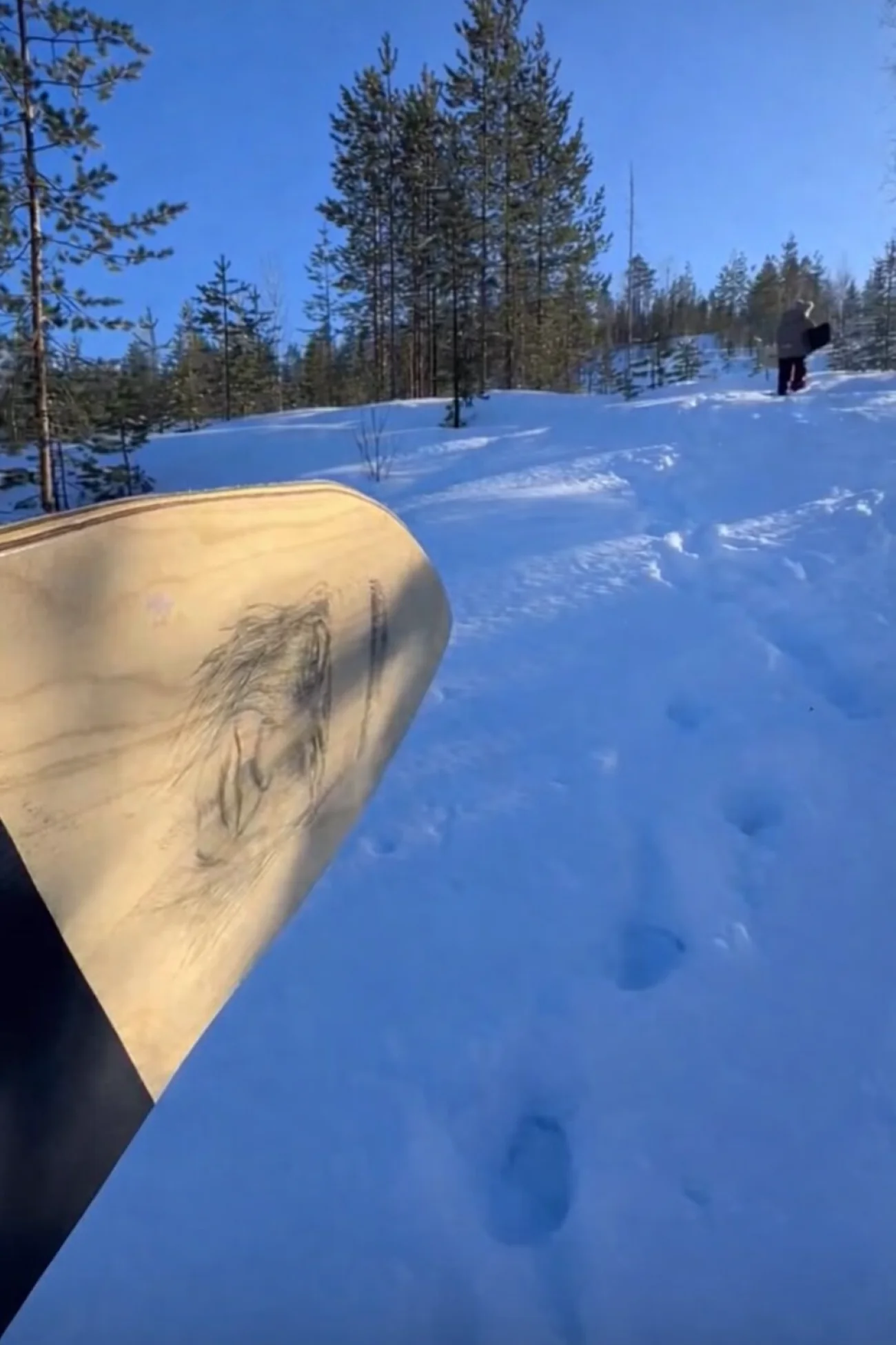 A snow surfboard in the foreground of a quiet forest slope