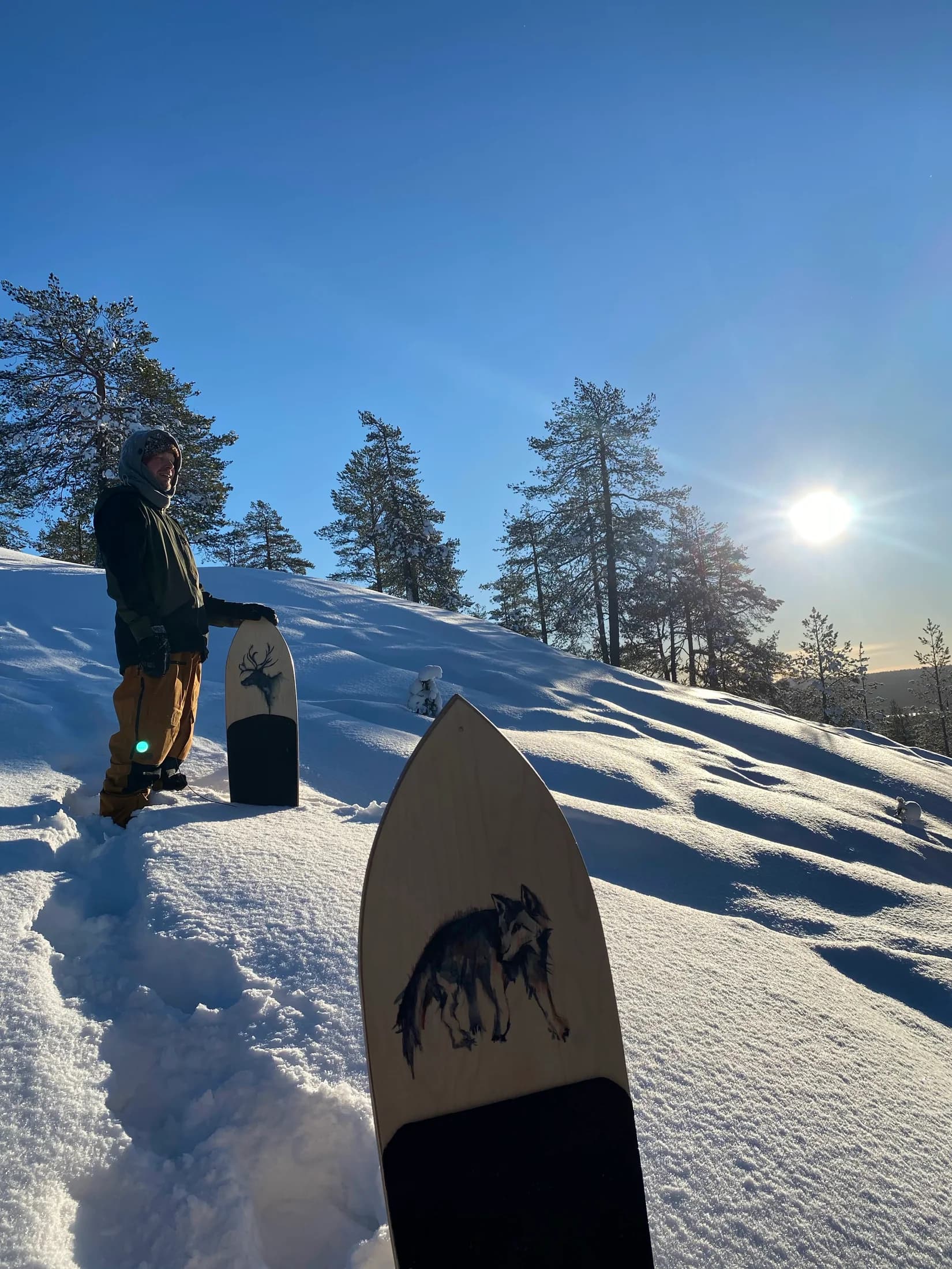 Snow surfboards and a rider on a sunny forest slope